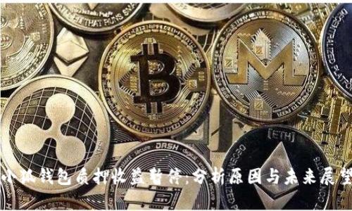 小狐钱包质押收益暂停：分析原因与未来展望
