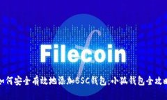 如何安全有效地添加BSC钱