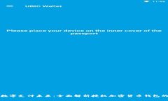 构建安全的数字支付未来