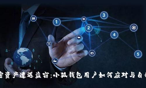 当加密资产遭遇盗窃：小狐钱包用户如何应对与自我保护