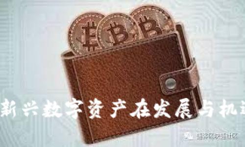 广西加密货币：新兴数字资产在发展与机遇中的前景分析