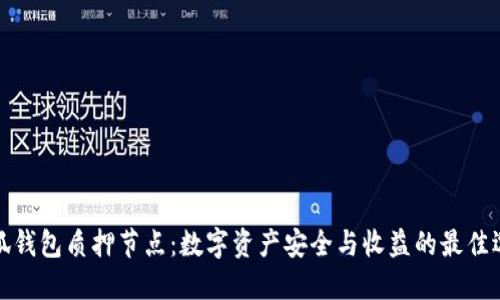 小狐钱包质押节点：数字资产安全与收益的最佳选择