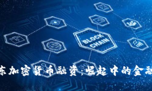 : 中东加密货币融资：崛起中的金融革命