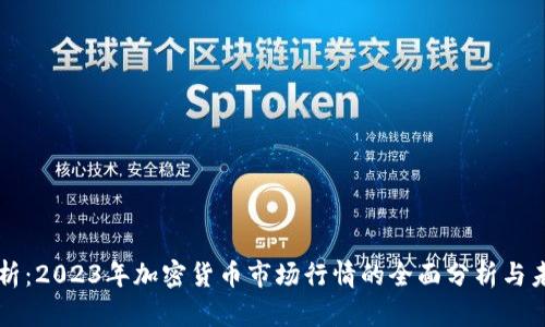 深入剖析：2023年加密货币市场行情的全面分析与未来展望
