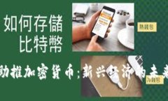 机构助推加密货币：新兴