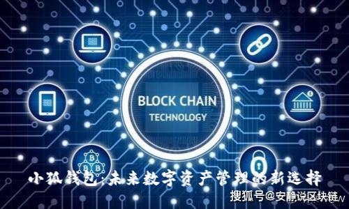 小狐钱包：未来数字资产管理的新选择