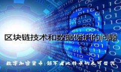 数字加密货币：领军者比