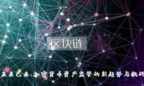 未来已来：加密货币资产监管的新趋势与挑战