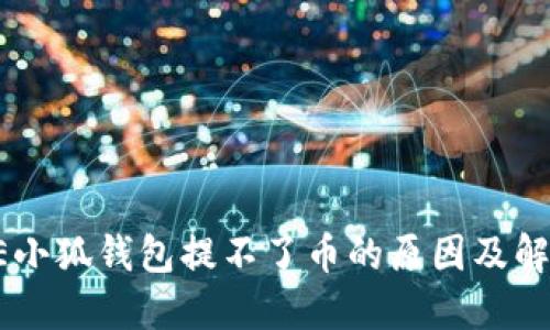 : CORE小狐钱包提不了币的原因及解决方案
