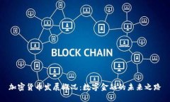 加密货币发展概况：数字