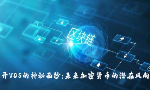 揭开VDS的神秘面纱：未来加密货币的潜在风向标