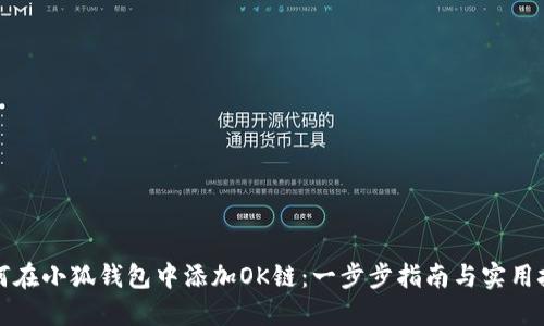 如何在小狐钱包中添加OK链：一步步指南与实用技巧