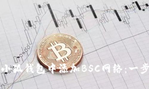 如何在小狐钱包中添加BSC网络：一步步指南