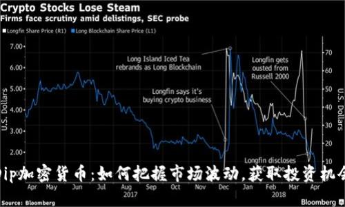 Dip加密货币：如何把握市场波动，获取投资机会