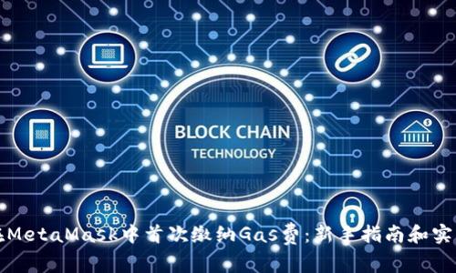如何在MetaMask中首次缴纳Gas费：新手指南和实用技巧