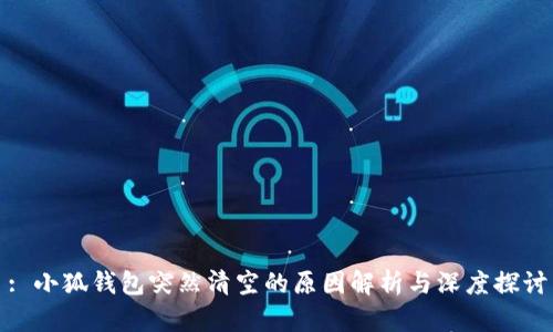 : 小狐钱包突然清空的原因解析与深度探讨