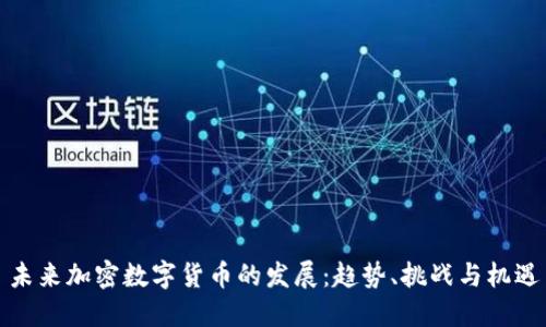 未来加密数字货币的发展：趋势、挑战与机遇