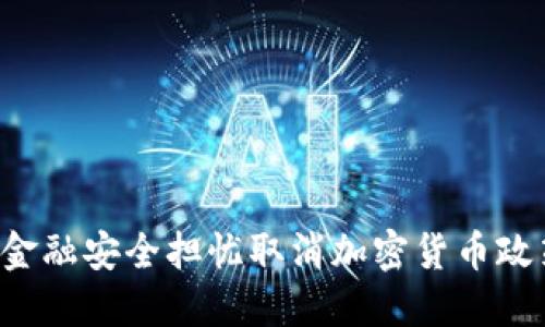 华盛顿小镇因金融安全担忧取消加密货币政策：背景与影响