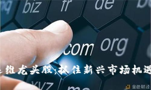 数字货币加密运维龙头股：抓住新兴市场机遇，实现财富增长