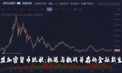 欧盟加密货币现状：机遇与挑战并存的金融新生态