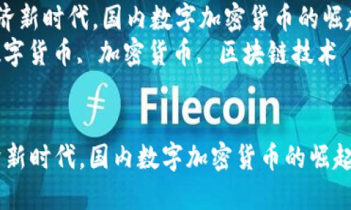  在数字经济新时代，国内数字加密货币的崛起与挑战  
关键词： 数字货币, 加密货币, 区块链技术


在数字经济新时代，国内数字加密货币的崛起与挑战