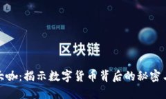 加密货币大咖：揭示数字