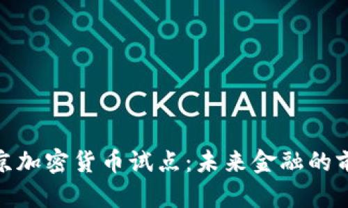 探索北京加密货币试点：未来金融的前沿之路