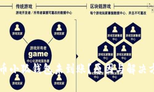 中本聪提币小狐钱包未到账？原因与解决方法全解析