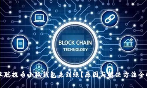 中本聪提币小狐钱包未到账？原因与解决方法全解析