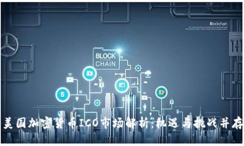 美国加密货币ICO市场解析：机遇与挑战并存