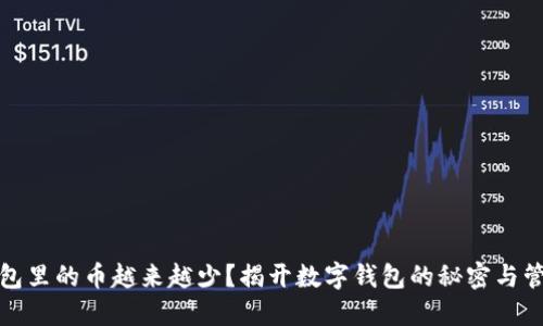 小狐钱包里的币越来越少？揭开数字钱包的秘密与管理技巧
