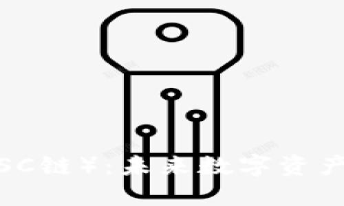 小狐钱包币（BSC链）：未来数字资产管理的新选择