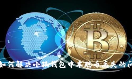   如何解决小狐钱包中本聪币丢失的问题