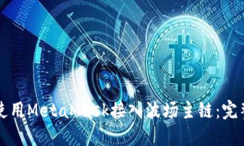 如何使用MetaMask接入波场主链：完整指南