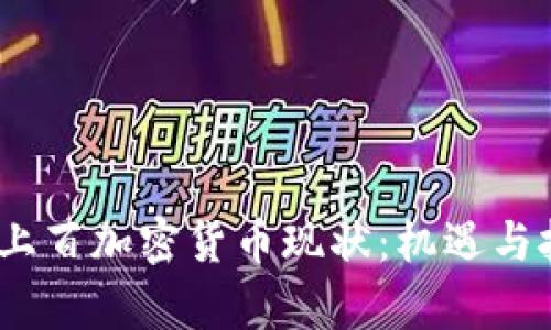 2023年上百加密货币现状：机遇与挑战并存
