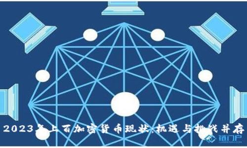 2023年上百加密货币现状：机遇与挑战并存