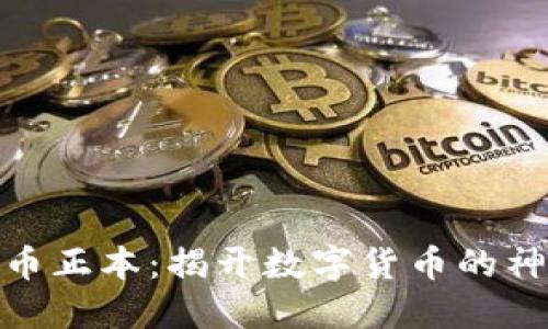 加密货币正本：揭开数字货币的神秘面纱