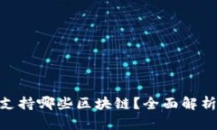 MetaMask支持哪些区块链？全