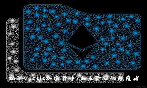 揭秘Bostic加密货币：未来金融的颠覆者