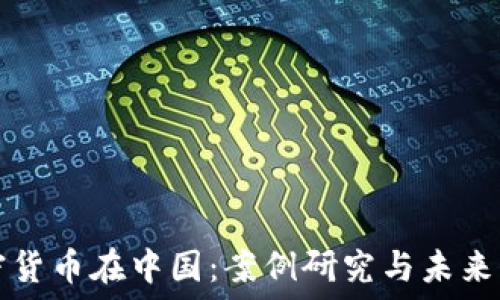   
加密货币在中国：案例研究与未来展望