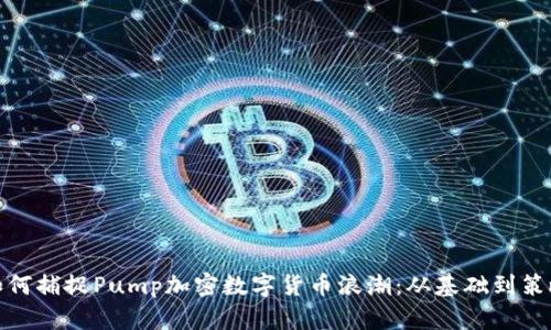 如何捕捉Pump加密数字货币浪潮：从基础到策略