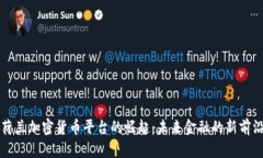 荷兰加密货币平台的崛起