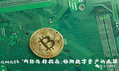 Metamask 网络选择指南：畅游数字资产的无限世界