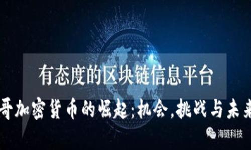 摩洛哥加密货币的崛起：机会，挑战与未来展望