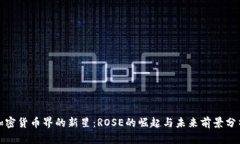 加密货币界的新星：ROSE的