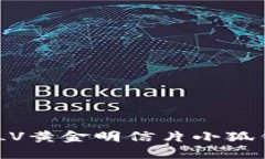 探索奢华与时尚：LV黄金明