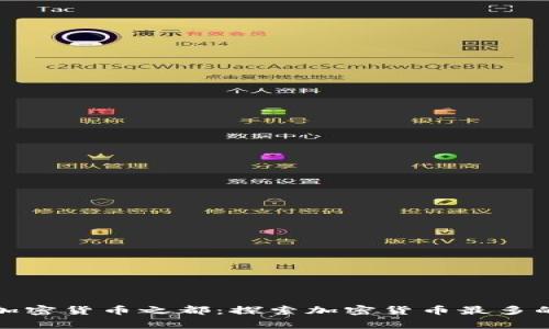 全球加密货币之都：探索加密货币最多的国家