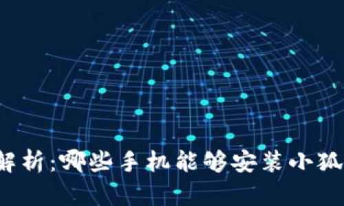 全面解析：哪些手机能够安装小狐钱包？