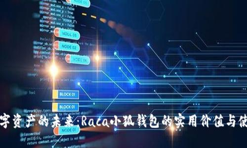 掌控数字资产的未来：Raca小狐钱包的实用价值与使用体验