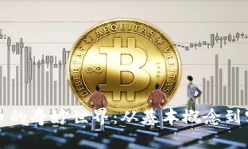 加密货币的奇妙世界：从基本概念到实用应用